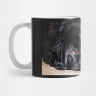 Abby (Newfoundland Dog) Mug